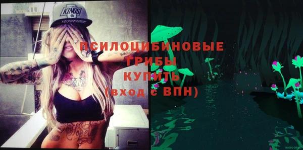 винт Алексеевка