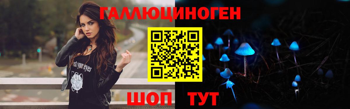Псилоцибиновые грибы Cubensis Павловский Посад